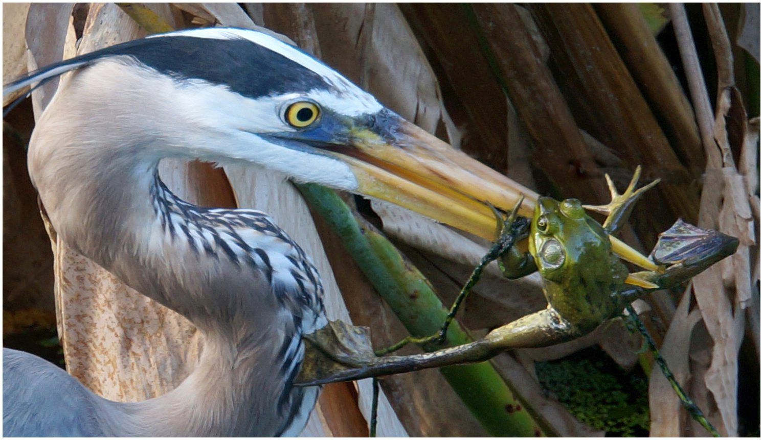 2016 Photography Contest Results