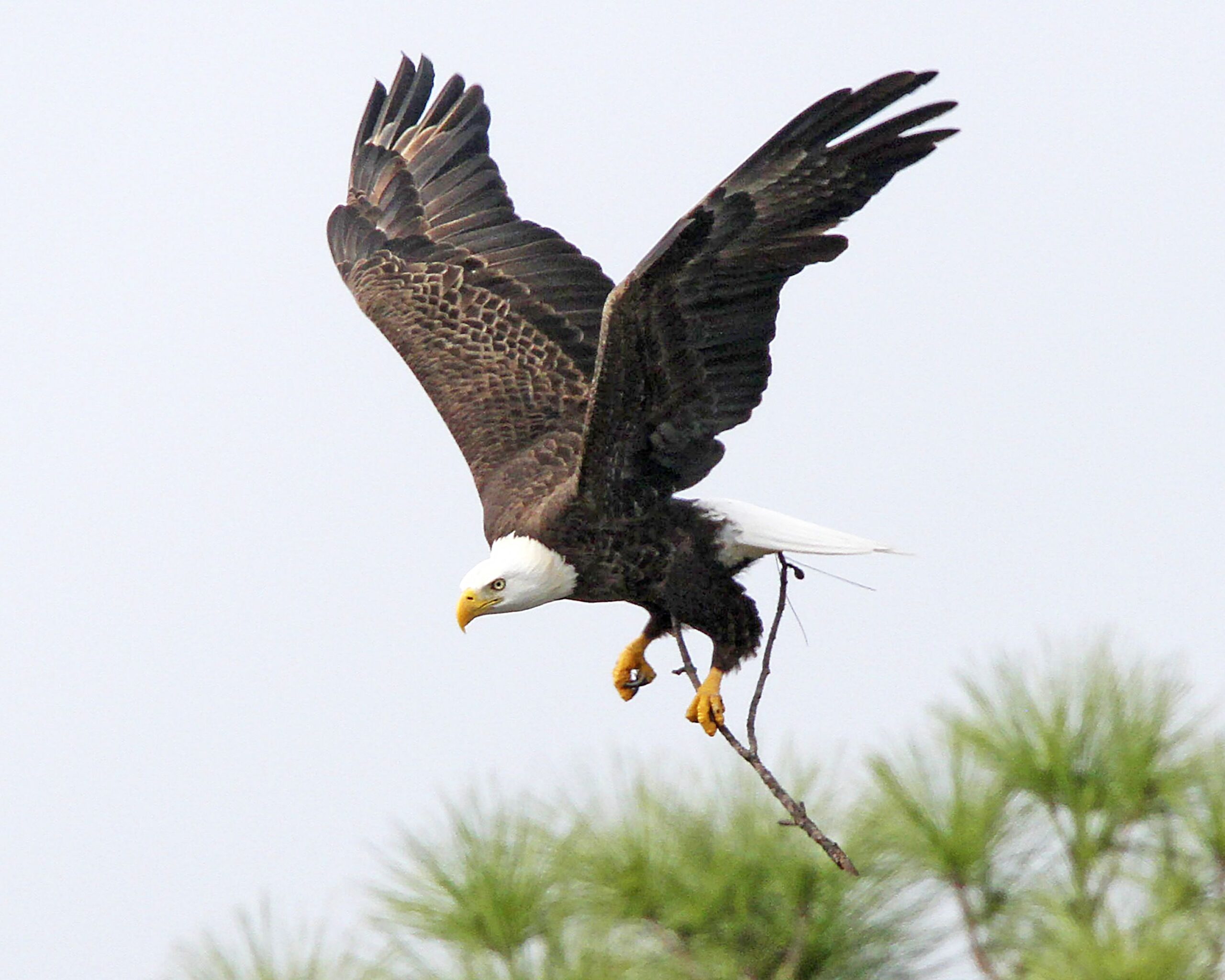 2019 Photography Contest Results