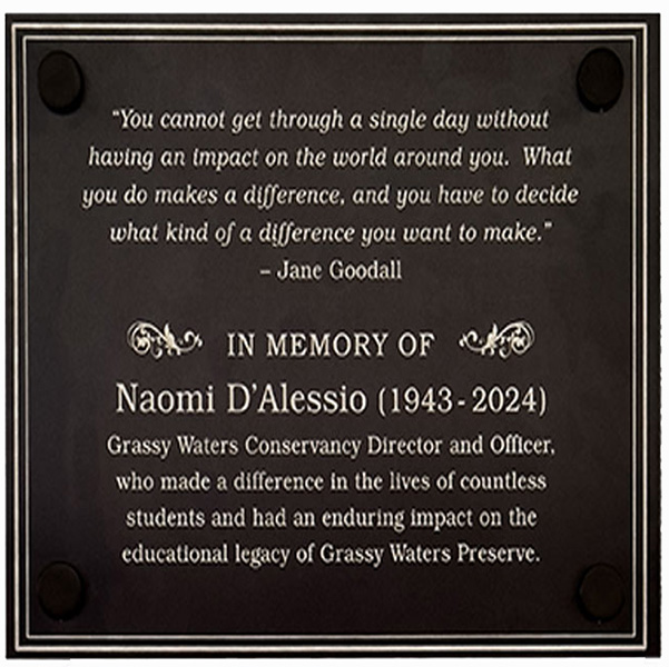 Naomi D’Alessio Tribute