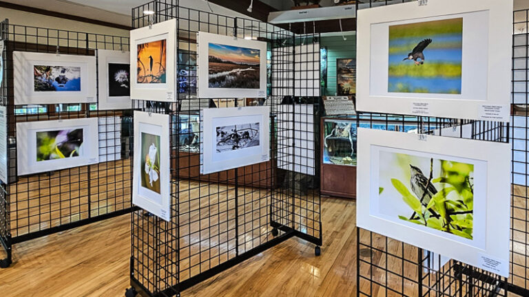2025 Photo Exhibit