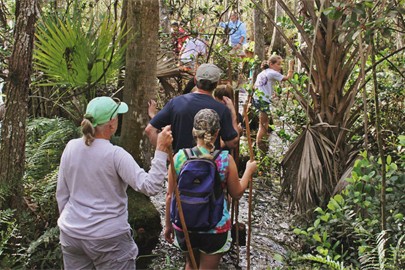 Programs at Grassy Waters Preserve