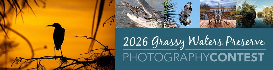 2026 Grassy Waters Preserve Photography Contest