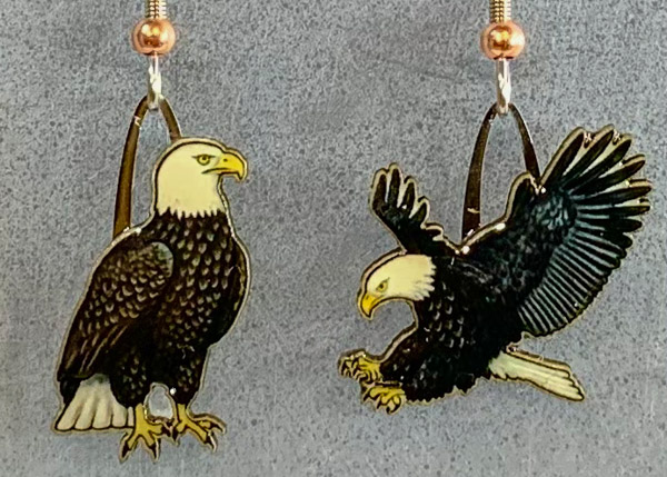 Bald Eagle