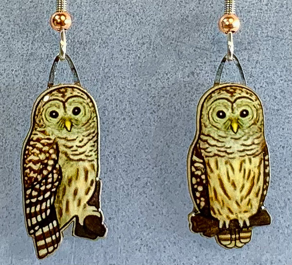 Barred Owl