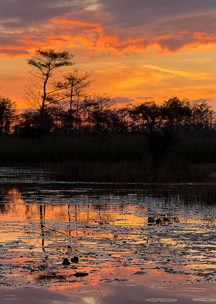 "Fire in the Sky" by Kristen Kearney