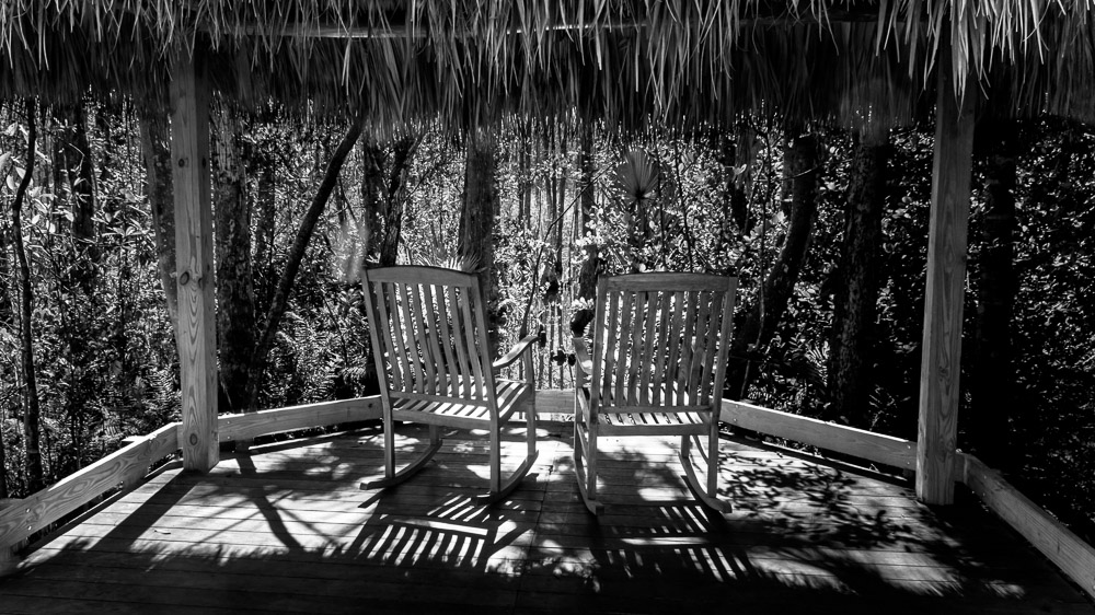 "Shades" by Barry Ritter