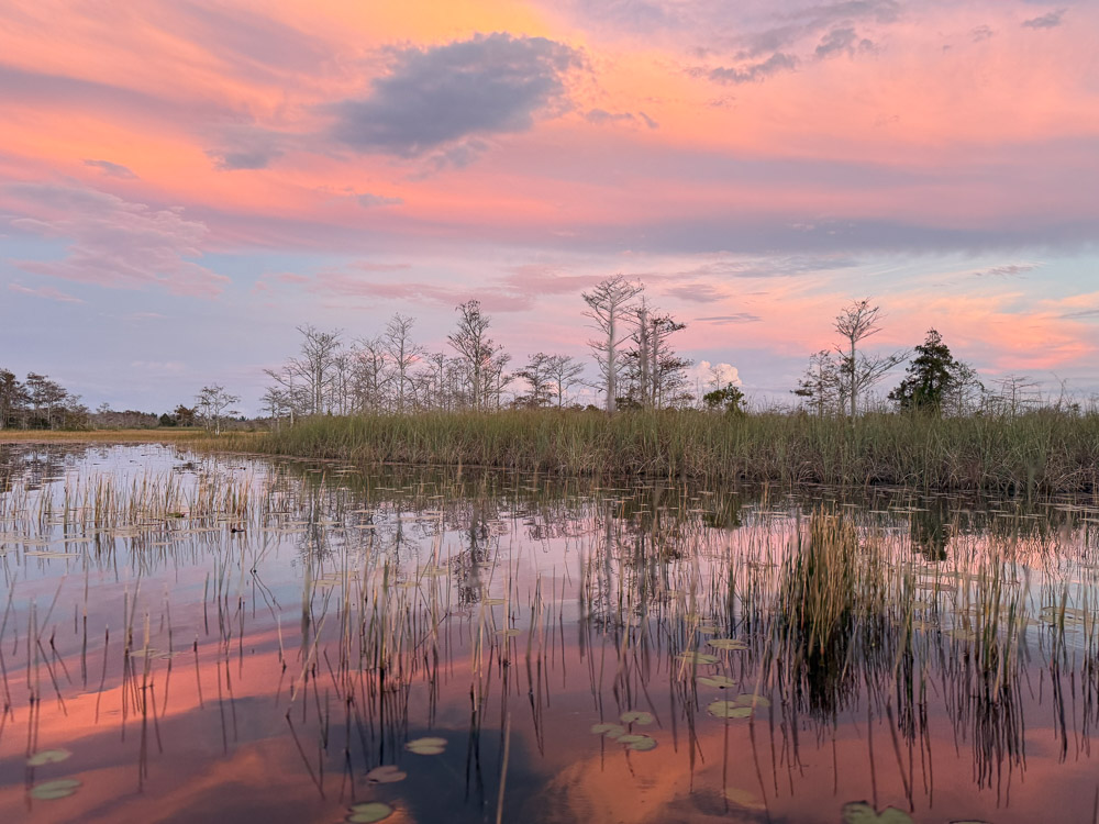 "Tranquility" by Kristen Kearney